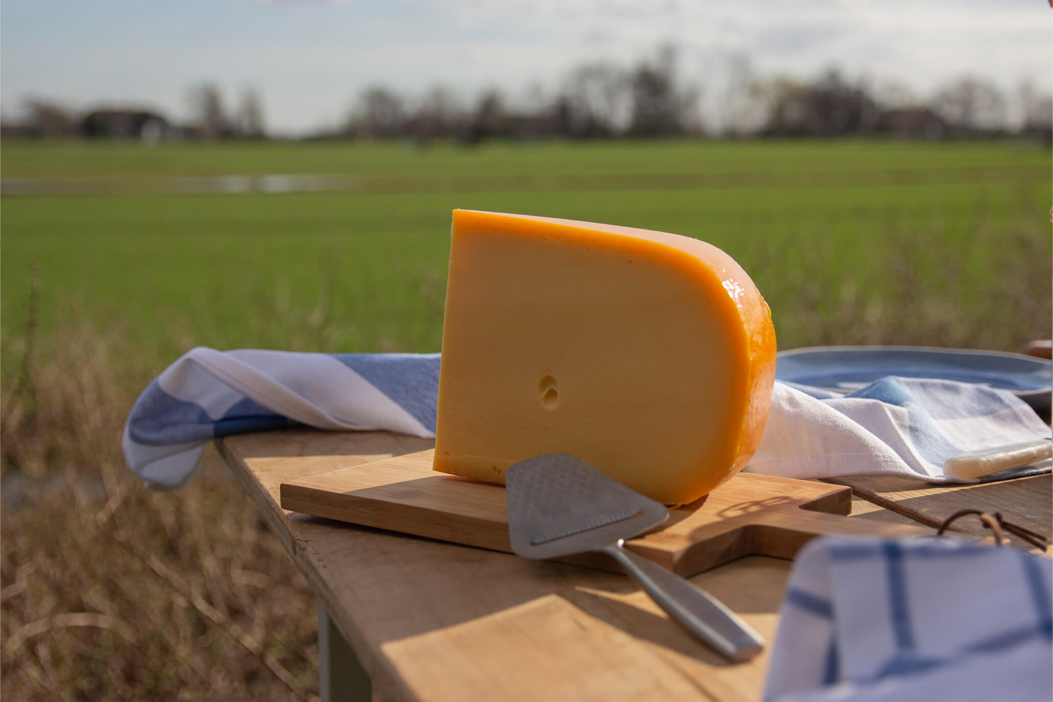 MAAZ Cheese dé winnaar van het Advantage Kaas Report 2023
