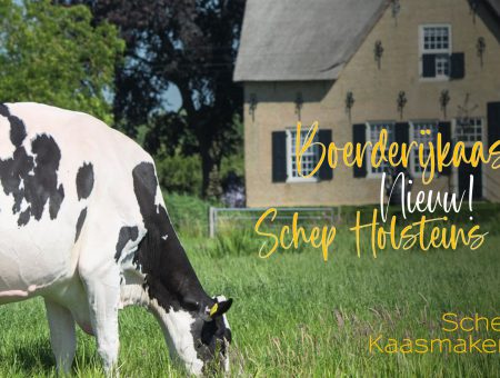 NIEUW! Boerderijkaas | Schep Holsteins