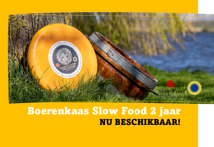 Boerenkaas slow food 2 jaar 48+ (Rauwmelks)